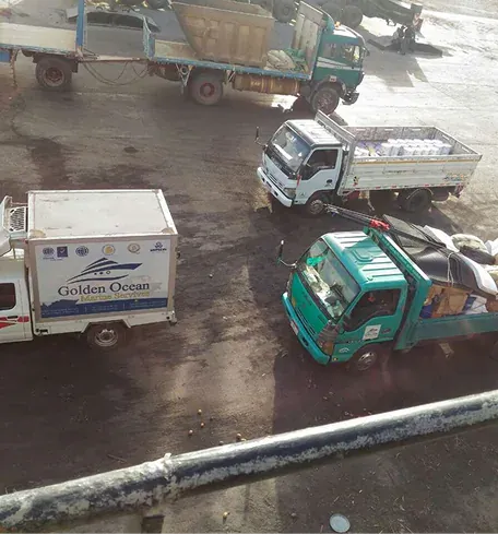 Golden Ocean actual service and vessel delivery, image 7 of 48