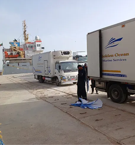 Golden Ocean actual service and vessel delivery, image 29 of 48