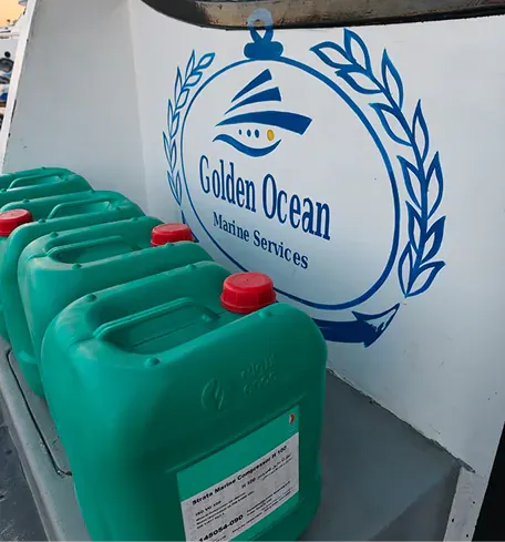 Golden Ocean actual service and vessel delivery, image 33 of 48
