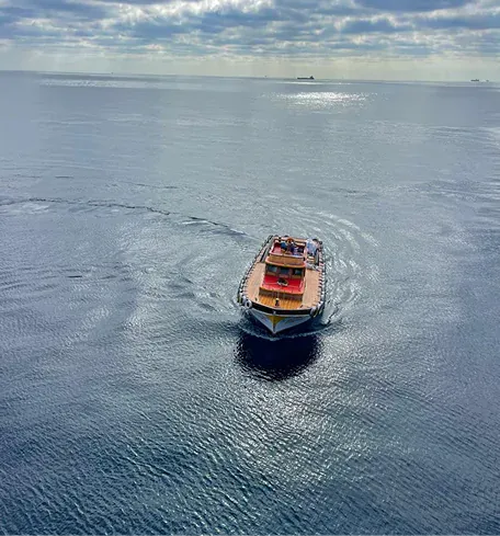 Golden Ocean actual service and vessel delivery, image 35 of 48
