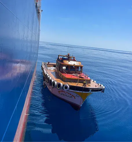 Golden Ocean actual service and vessel delivery, image 36 of 48