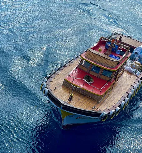 Golden Ocean actual service and vessel delivery, image 37 of 48